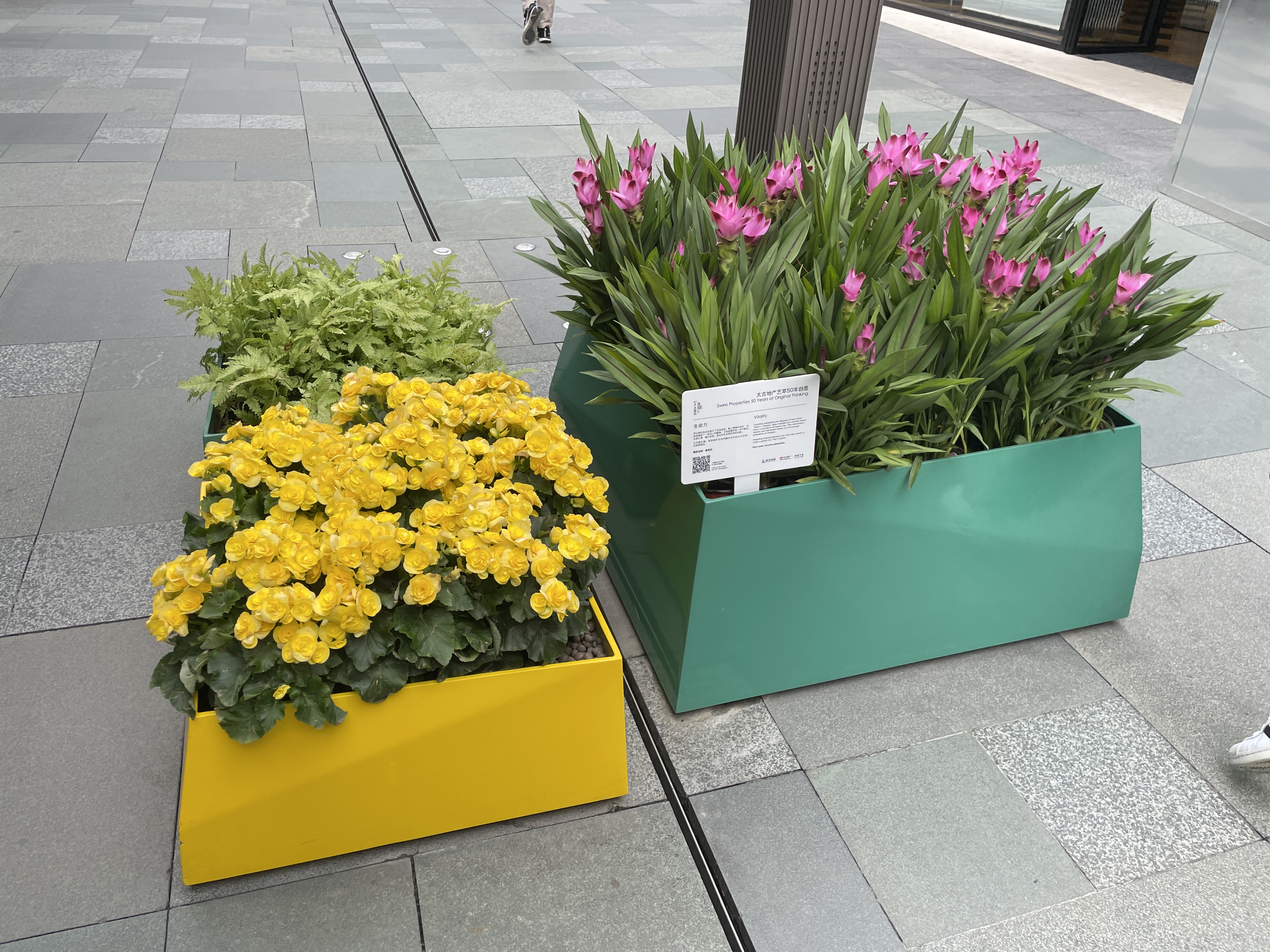 步行街金属花箱